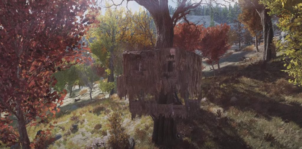 Saxon Research Station Treehouse